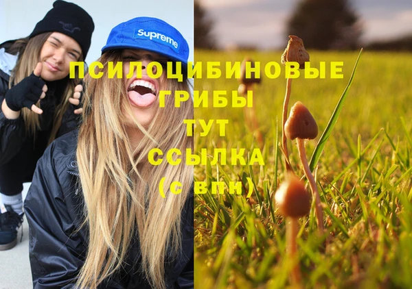 герыч Аркадак